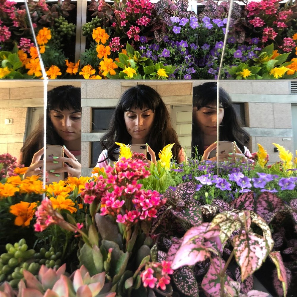 Meet your Posher, BW